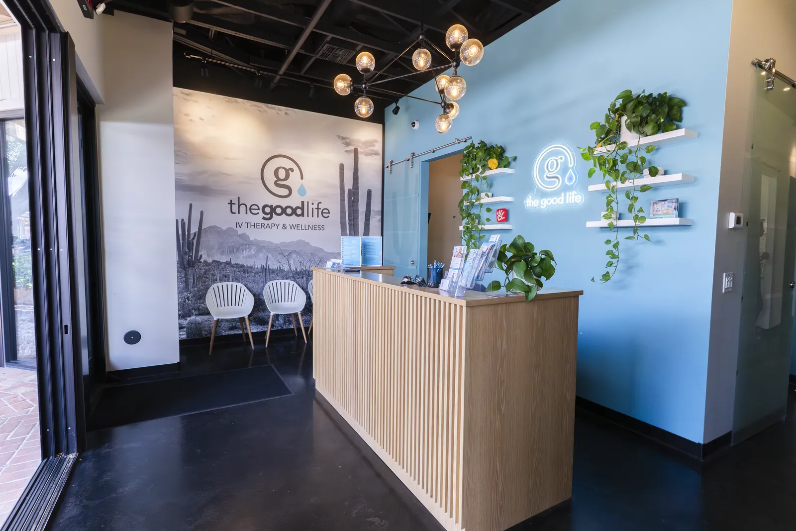 The studio’s front desk, with the saguaro mural behind it